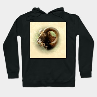 Mouflon Hoodie